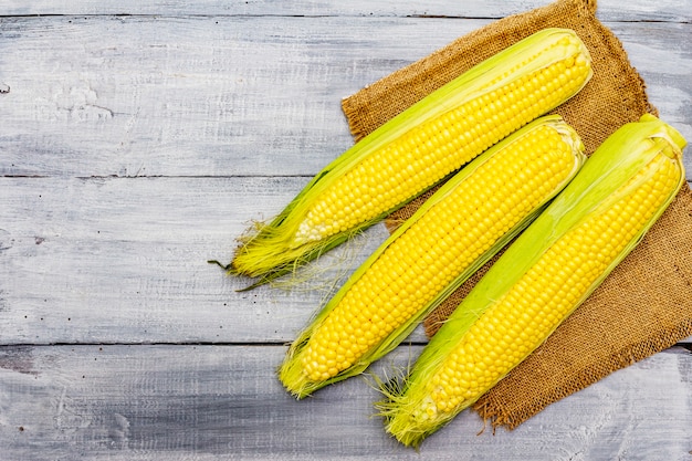 Fresh raw corn on cobs