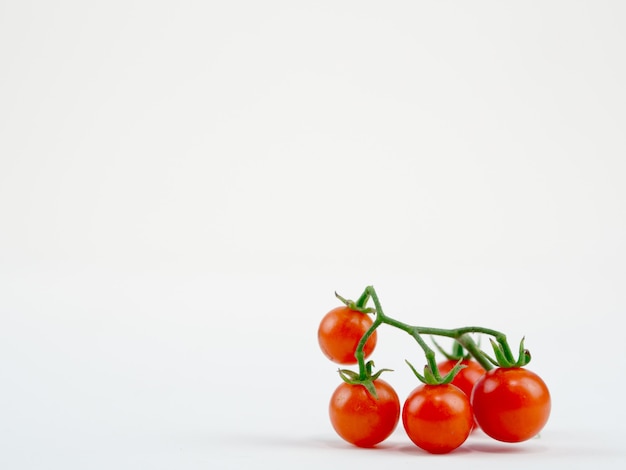 Photo fresh tomato on the clear white 