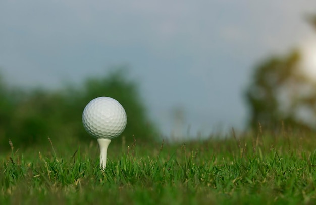 Golf ball on tee in a beautiful golf course with morning sunshine