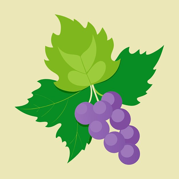 Photo grape leaves food vector illustration