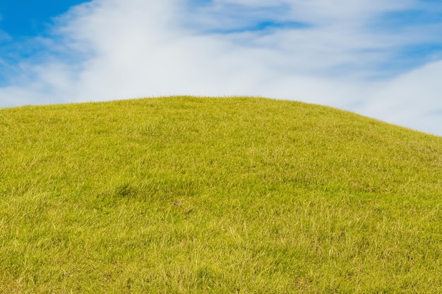 Photo a grassy hill with a blue sky and white clouds above