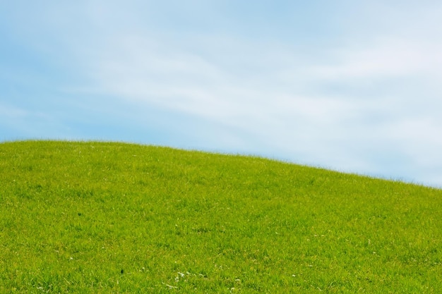 Photo a grassy hill with a blue sky