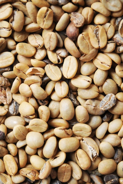 Foto fagioli verdi di caffè prima della torrefazione