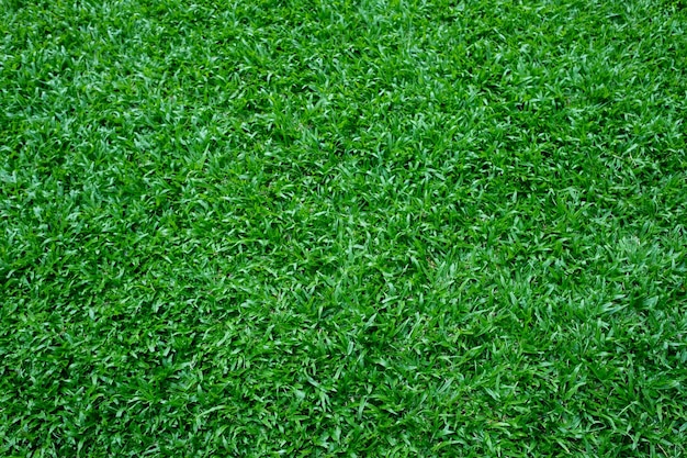 Green grass background football field