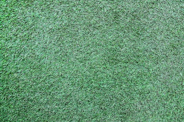 The green grass background for texture