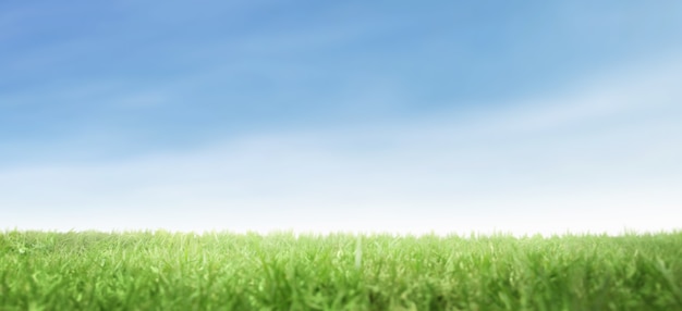 Photo green grass field with blue sky and nature landscape background