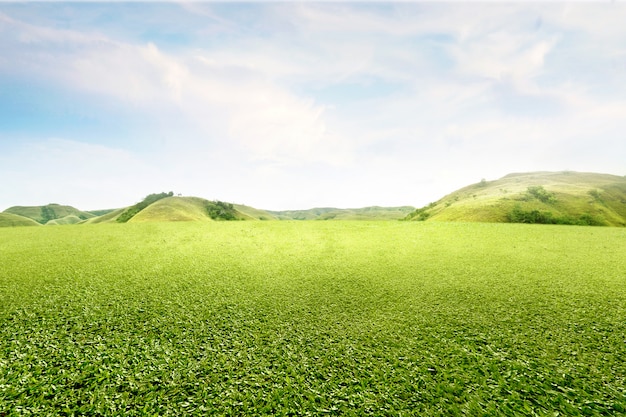 Photo green grass field with hills