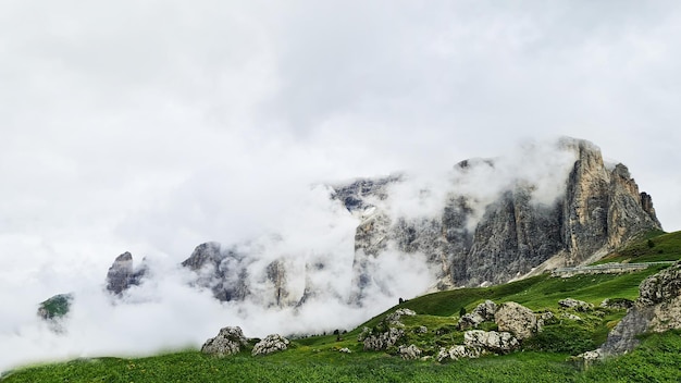 Green grass field with mountains in the background