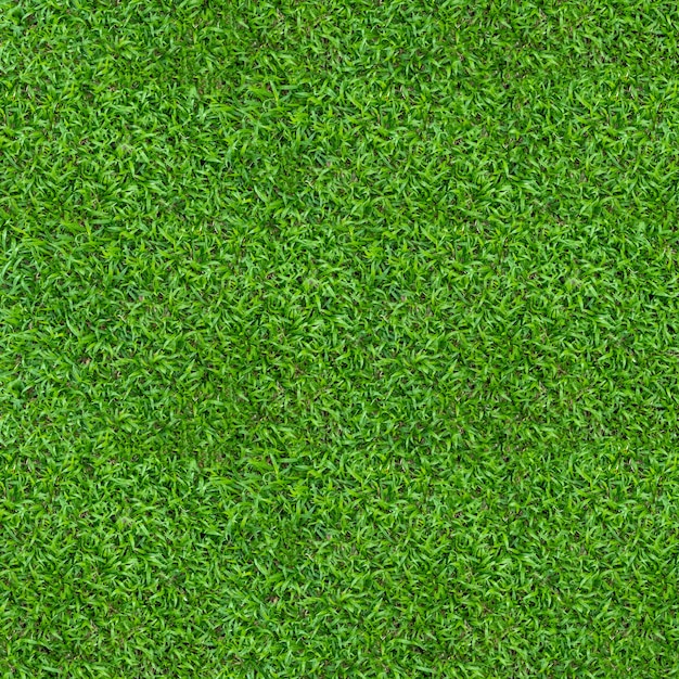 Green grass texture for background