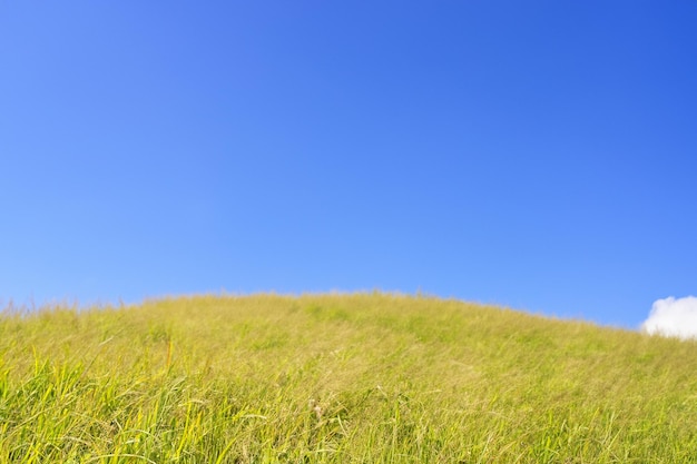 Photo green grassy hill against a clear blue sky