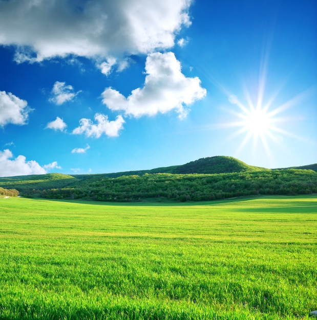 Photo green meadow in mountain