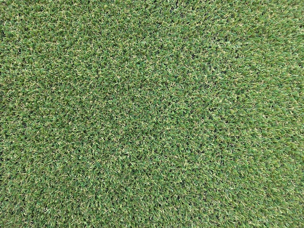 Green synthetic grass texture for field