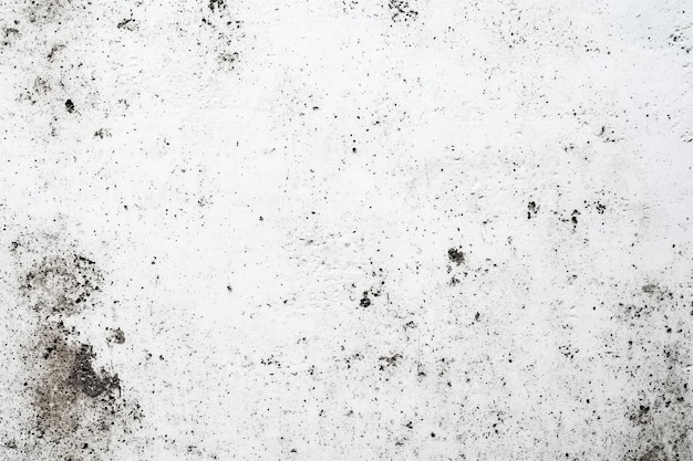 Photo grungy white background of natural cement