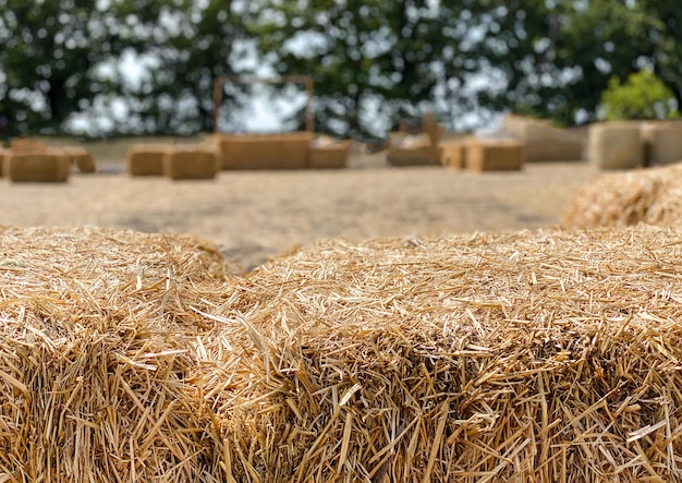 Photo hay in a bale in a sunny day closeup food product for farm animals farming concept