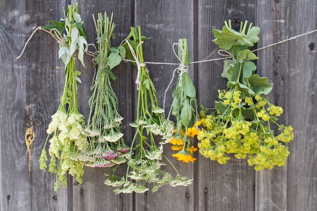 Herbs hanging and drying on wooden table