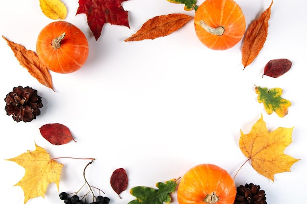 Herfst van bladeren, bessen en pompoenen.