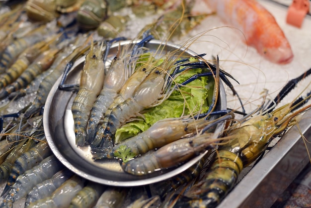 Foto veduta dall'alto del pesce nel contenitore