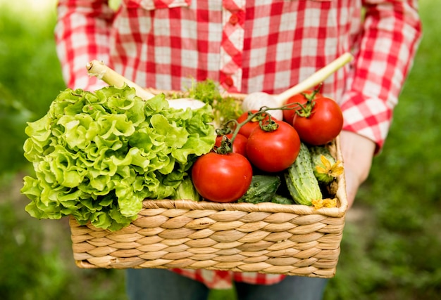 Holding bucket with tomatoes and cucumbers