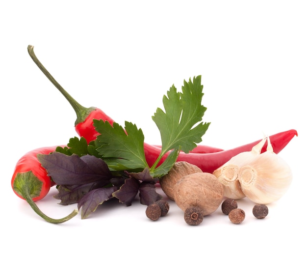 Hot red chili or chilli pepper and aromatic herbs leaves still life