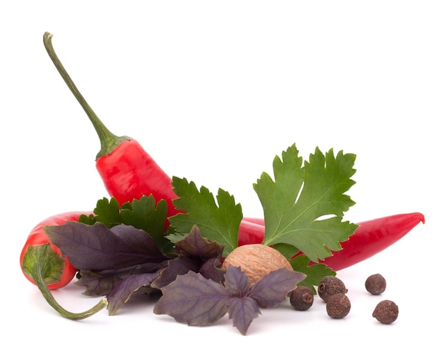 Hot red chili or chilli pepper and aromatic herbs leaves still life