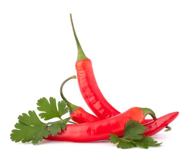 Hot red chili or chilli pepper and parsley leaves still life