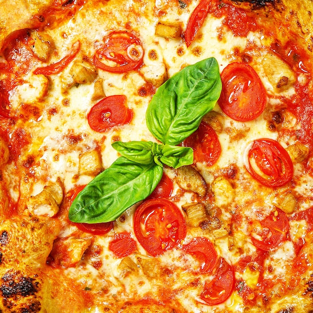 Hot tasty traditional pizza with chicken and tomato