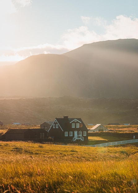 Icelandic wooden house glowing with sunlight on meadow and bird flying around in sunset on summer at Arnarstapi fishing village Iceland