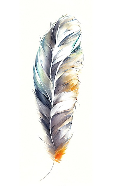 Illustration of Feathers in Watercolor Painting Style