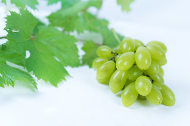 Illustration of green tropical fruit grapes.