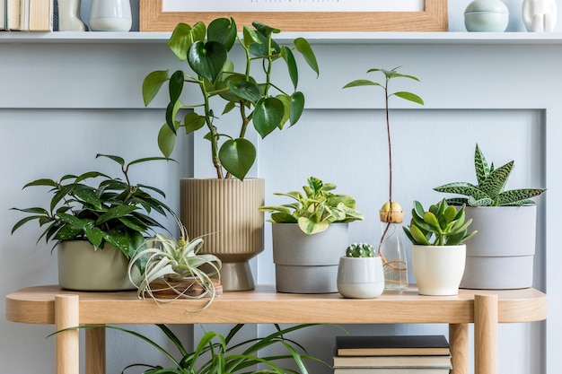 Photo interior design of living room with wooden console, composition of plants