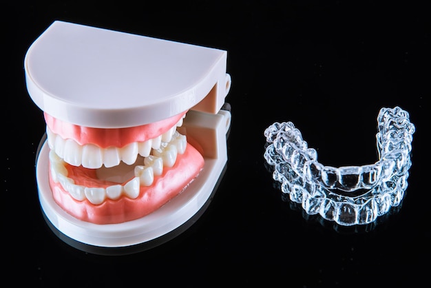 Photo invisible and removable aligner trays for teeth straightening with artificial jaw