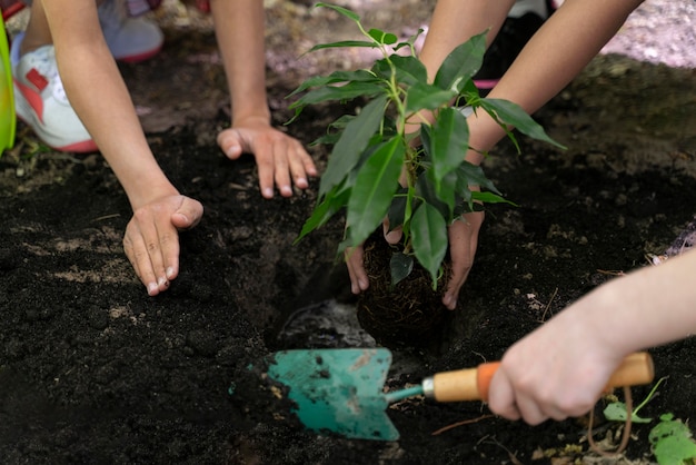 Photo kids planting together in the forest