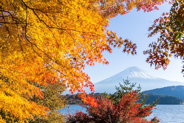 Photo 河口湖と富士山