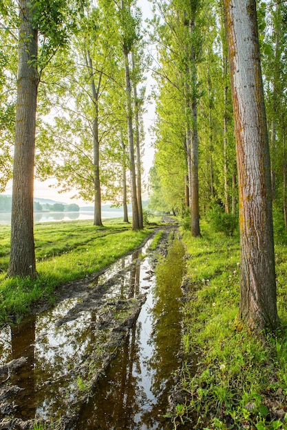 Landscape with beautiful nature in the village in the Republic of Moldova Country life