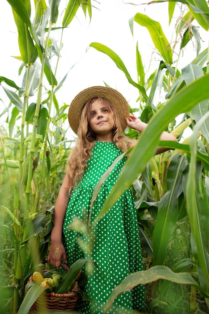 Photo little girl with a basket of corn in a cornfield