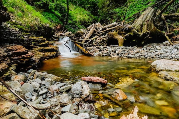 Photo little waterfall with a pond and lot of stones and tree trunks in a forest