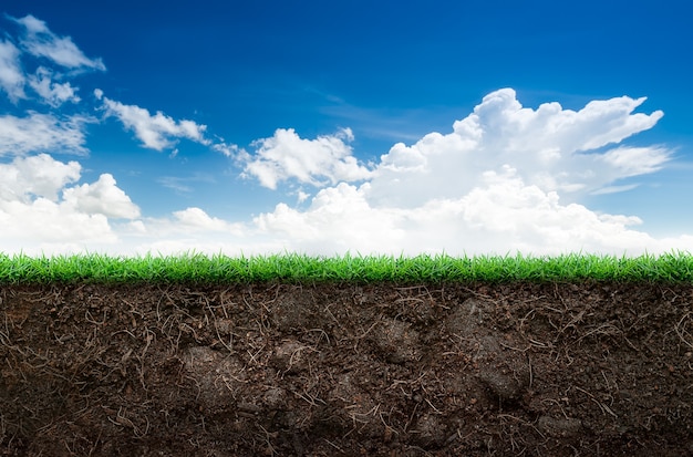 Photo loose soil and green grass on blue sky background