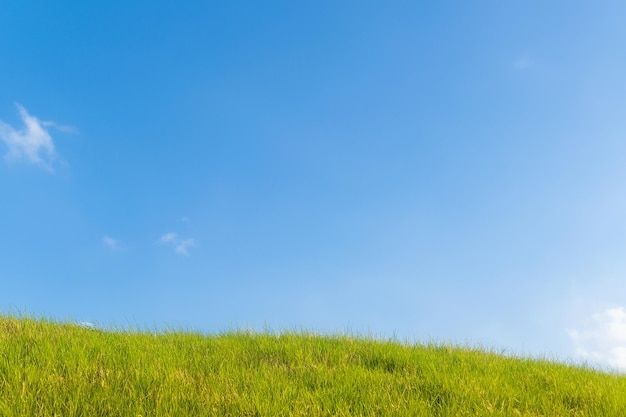 Photo lush green grass field under a bright blue sky with white clouds