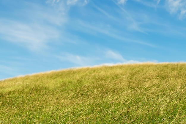 Photo lush green grass field with a blue sky and white clouds