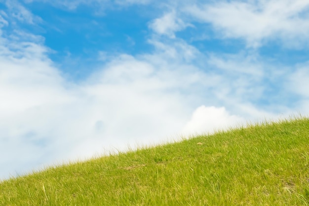 Photo lush green grass hill under a bright blue sky with white clouds