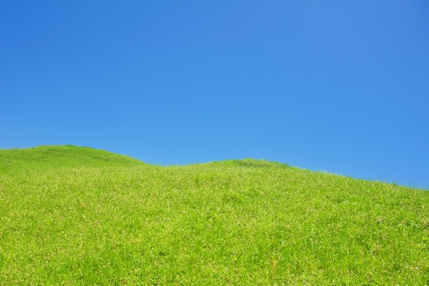 Photo a lush green grassy hill against a clear blue sky