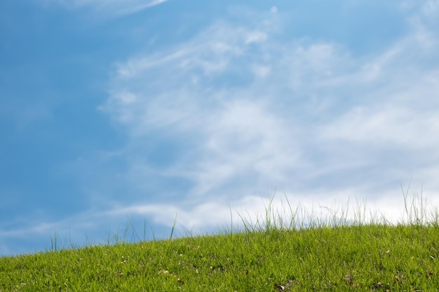 Photo a lush green grassy hilltop with a blue sky and fluffy white clouds in the background