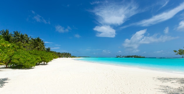 Maldives island with white sandy beach and sea