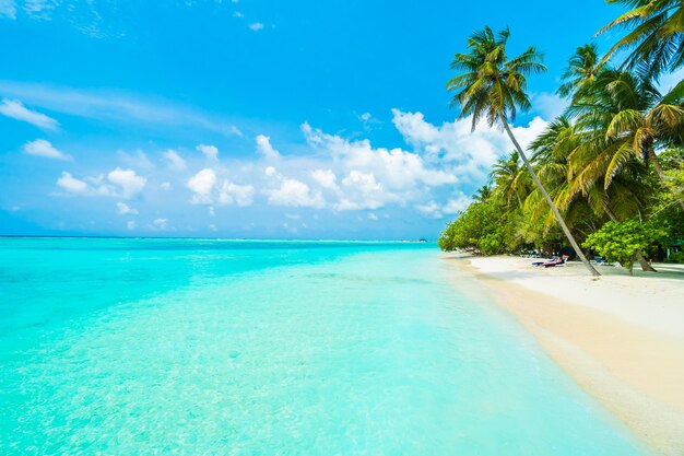 Foto isola delle maldive