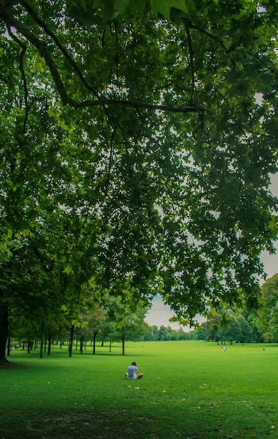 Photo man sitting in a park