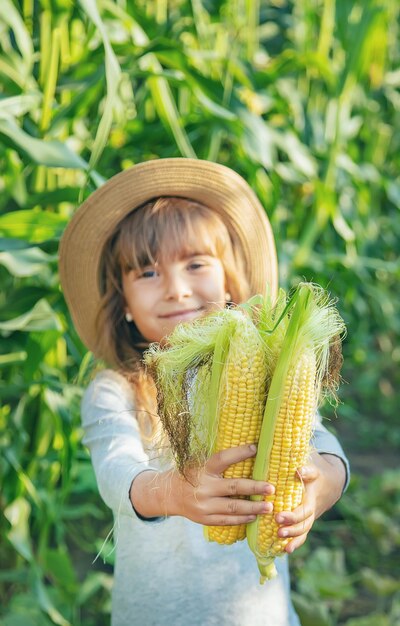 Photo midsection of woman holding corn