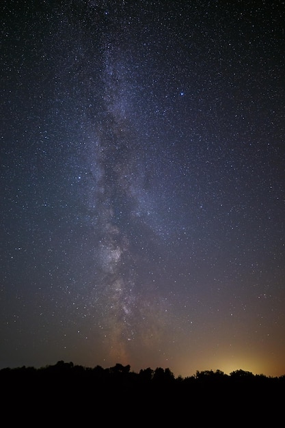 The Milky Way and the bright stars of the night sky over the forest. Light pollution from a big city.