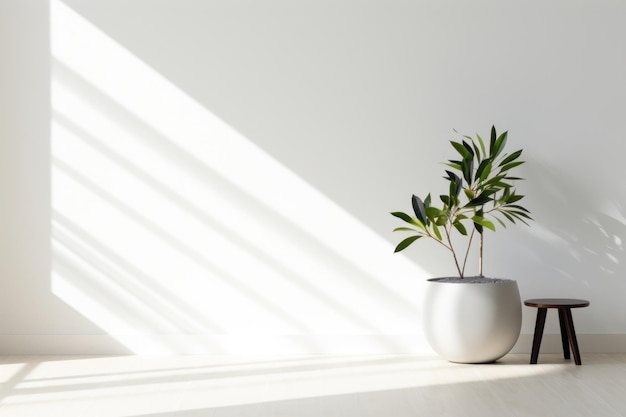 Photo a modern livingroom windowsill plant white