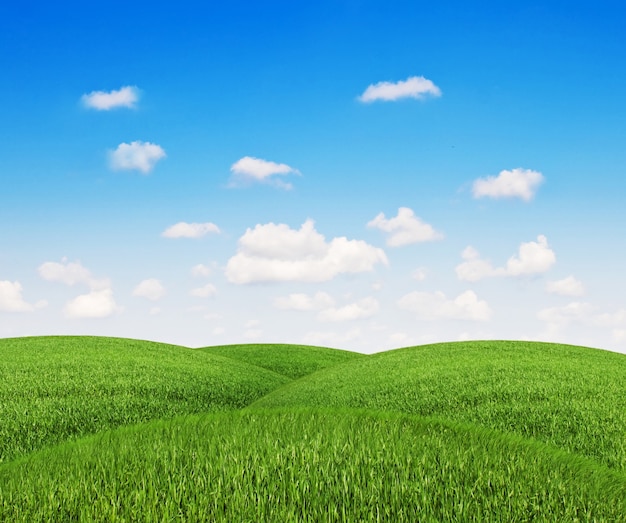 Mounds of grass with a clear sky