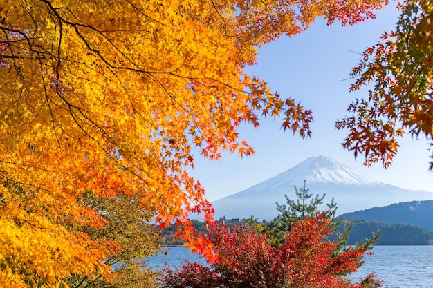 Photo 秋の富士山